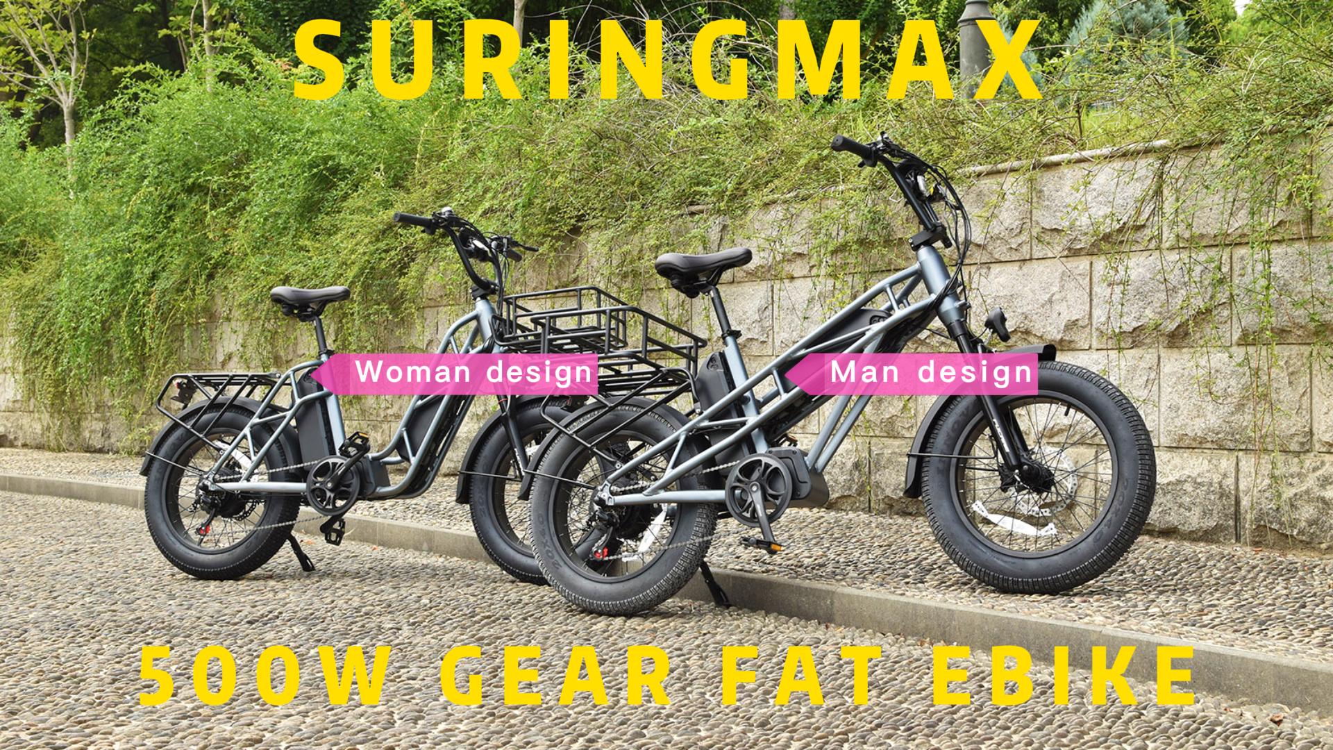 20" Electric Cargo Fat Bike